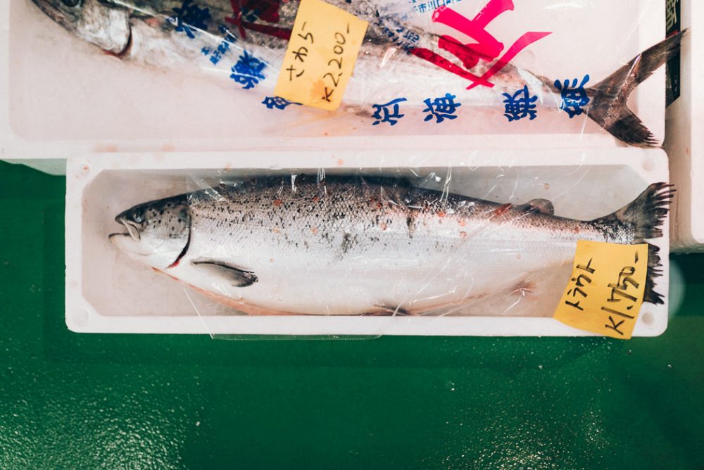Fisch in Tokio am Markt